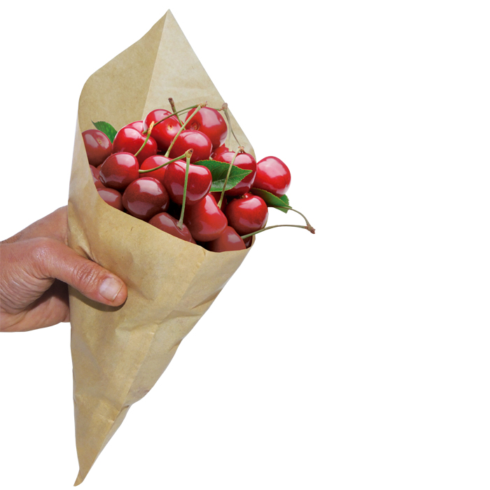 Bolsa de papel cónica