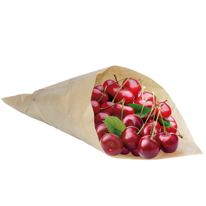 Bolsas cónicas alimentación